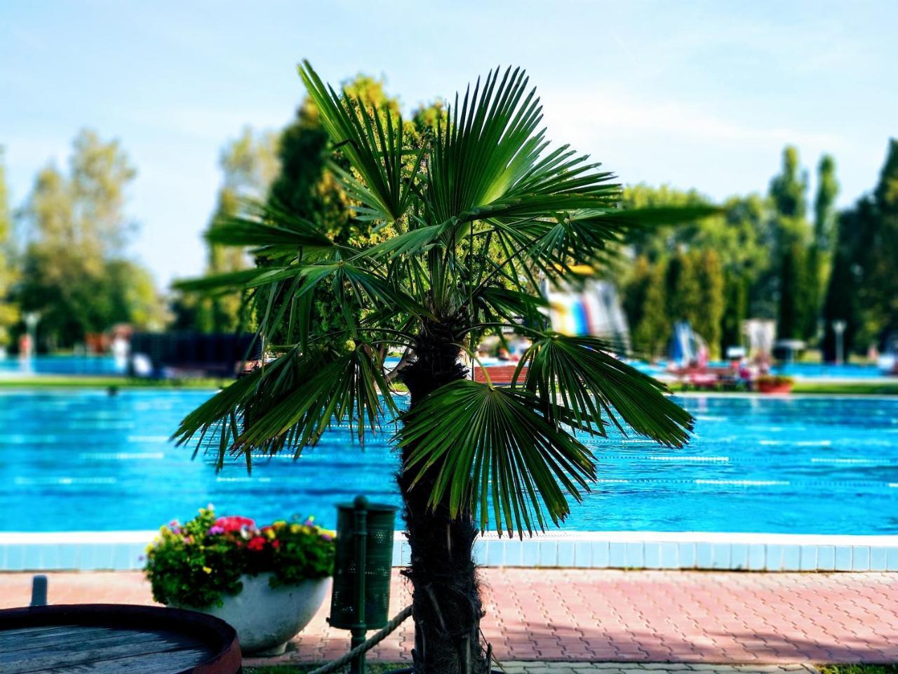 Hotel Forras Komarom Ngoại thất bức ảnh